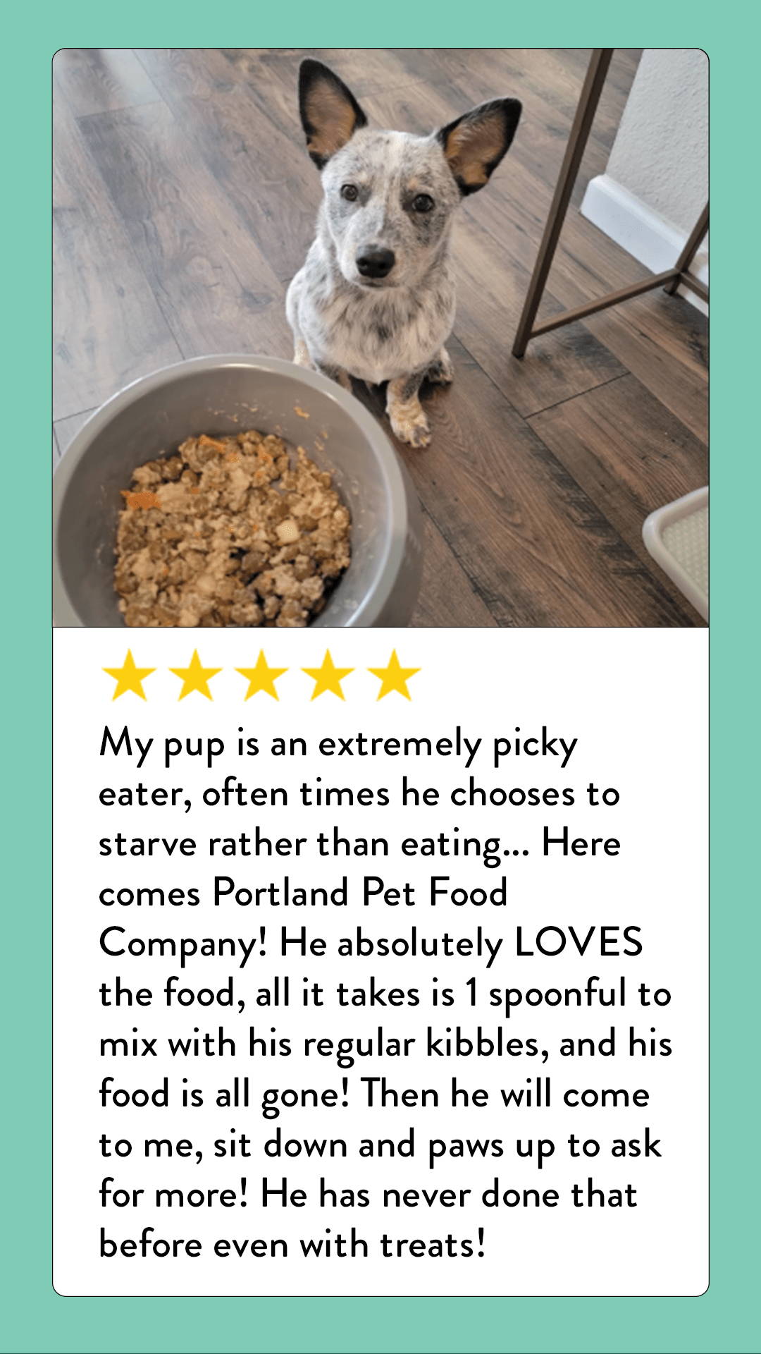 Dog Food Toppers For Picky Dogs Dog Food Mixers, Toppings Portland